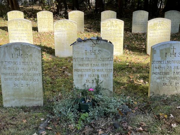 Teilhard Grave